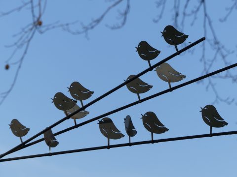 Nieuw: Natuurcafé voor leden en donateurs