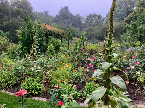 Week van de groene tuin