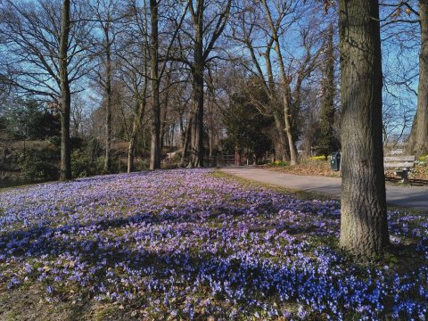 eerste vrijdag van de maand wandeling