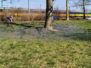 eerste vrijdag van de maand wandeling