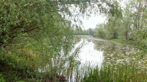 excursie Wilpse Klei