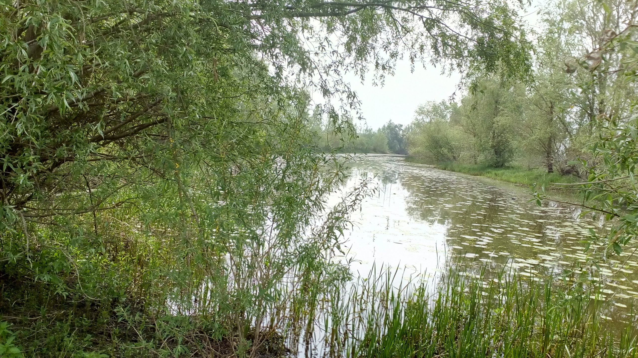 excursie Wilpse Klei