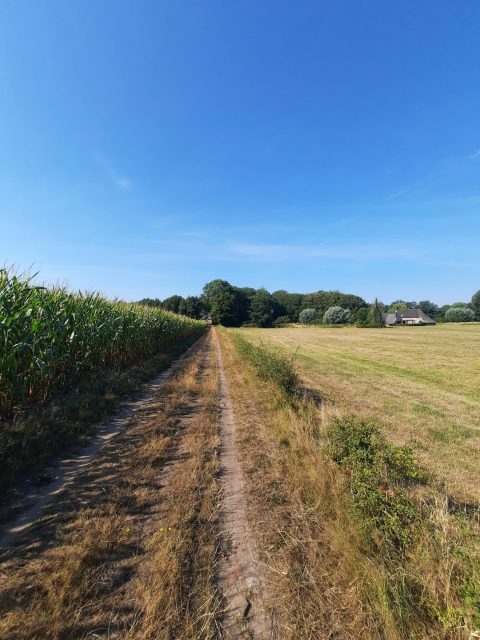 Landbouw zicht op de gooiermars