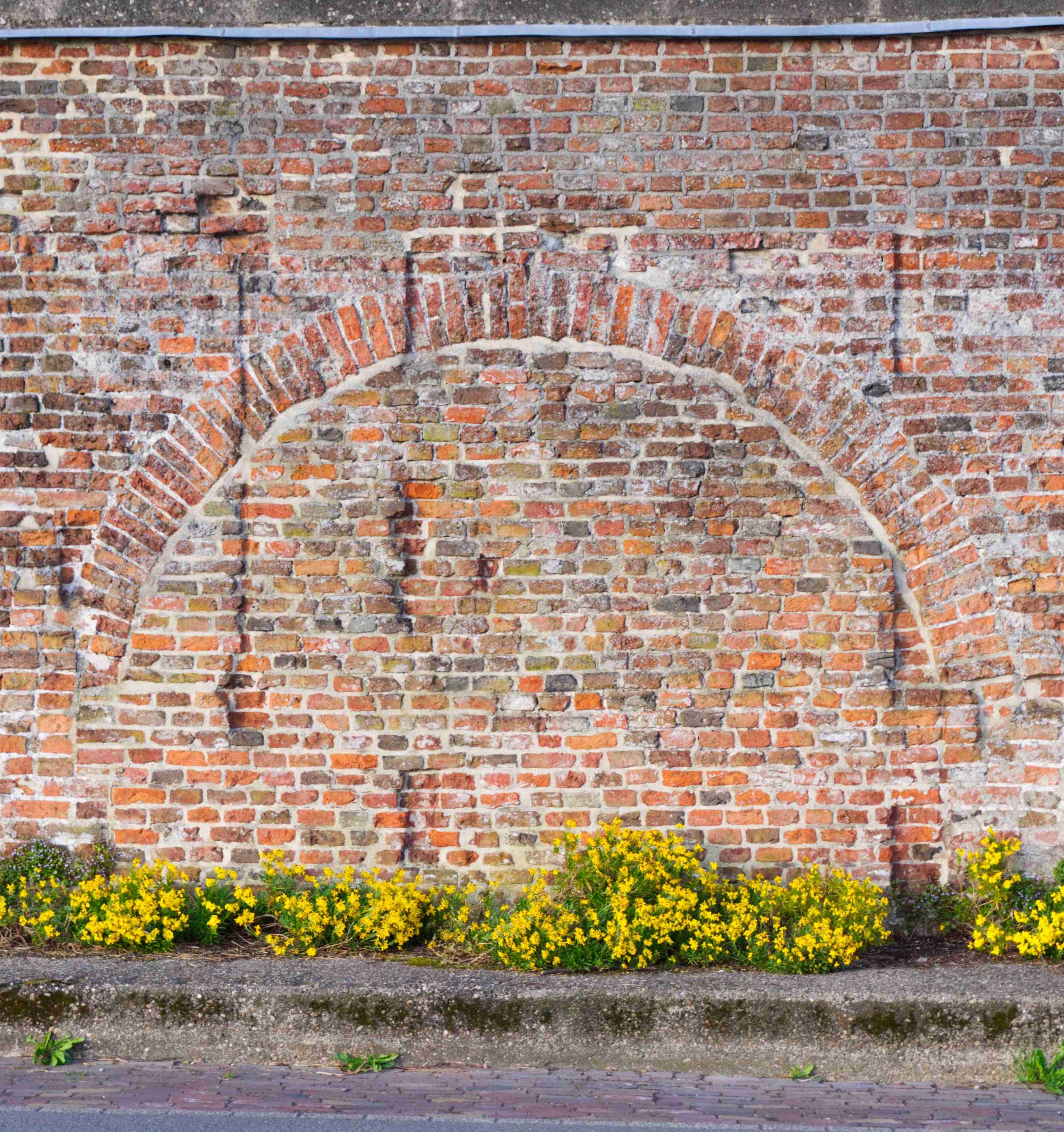 Bakstenen muur met boogvormige decoratie, omlijst door gele bloemen aan de onderkant.