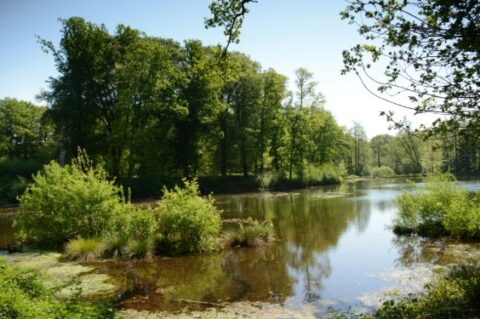 Ledenexcursie Dal van de Mosbeek Landschap Overijssel