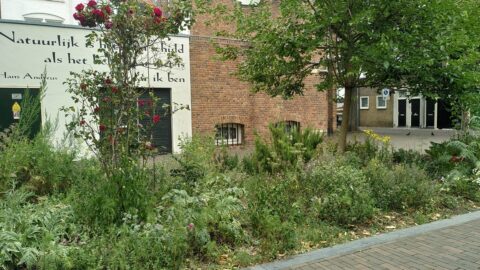 Stadswandeling Deventer Bioblitz 50 jaar