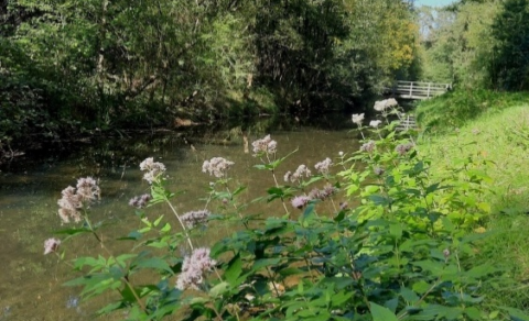eerste vrijdag van de maand wandeling Oostermaet