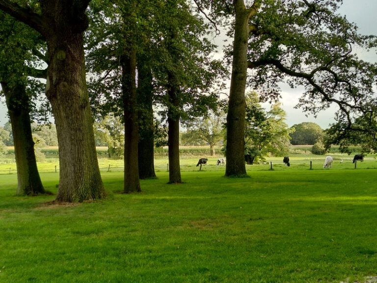 Natuur in de buurt