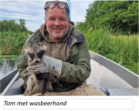 Natuurcafé: herboristenopleiding en wasbeerhond