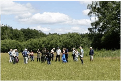 Groep mensen op een open veld met bomen op de achtergrond, onder een blauwe lucht met wolken.