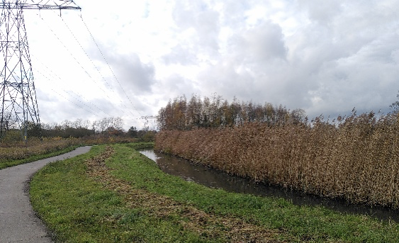 Een landelijk pad naast een sloot met hoog riet onder een bewolkte hemel en hoogspanningslijnen.