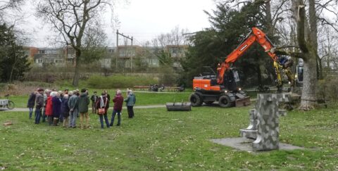 Groep mensen kijkt naar oranje graafmachine die aan een boom werkt in een park.