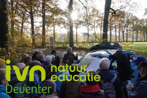 Groep mensen luistert naar een spreker bij een auto in een bos; IVN Deventer natuurwandeling.