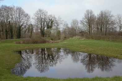 Een kleine vijver weerspiegelt kale bomen in een groene omgeving op een bewolkte dag.