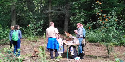 Groep mensen in een bos kijkt naar een tafel met opgezette dieren.
