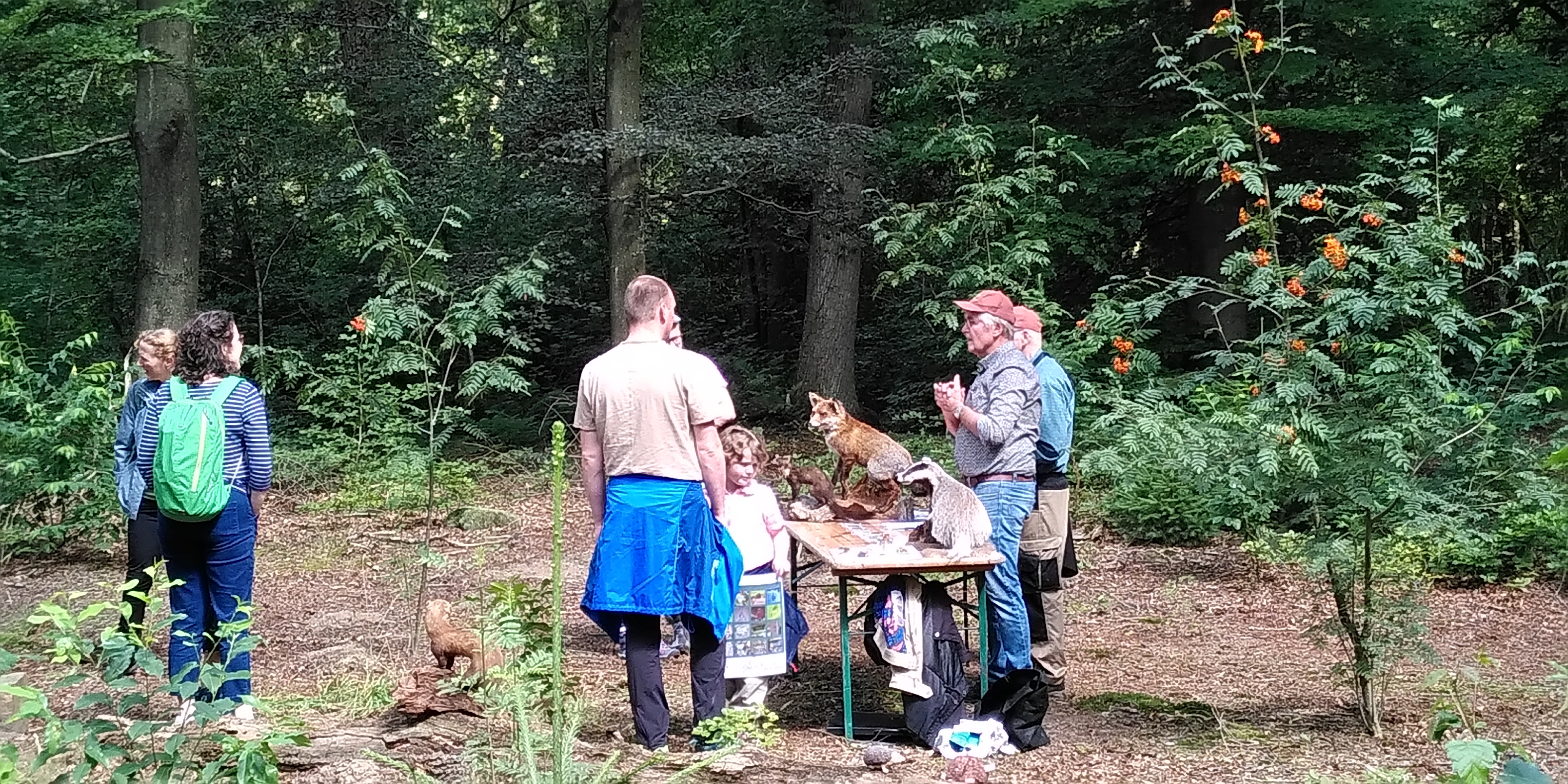 Groep mensen in een bos kijkt naar een tafel met opgezette dieren.