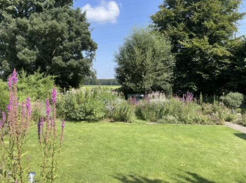 Tuin zomer