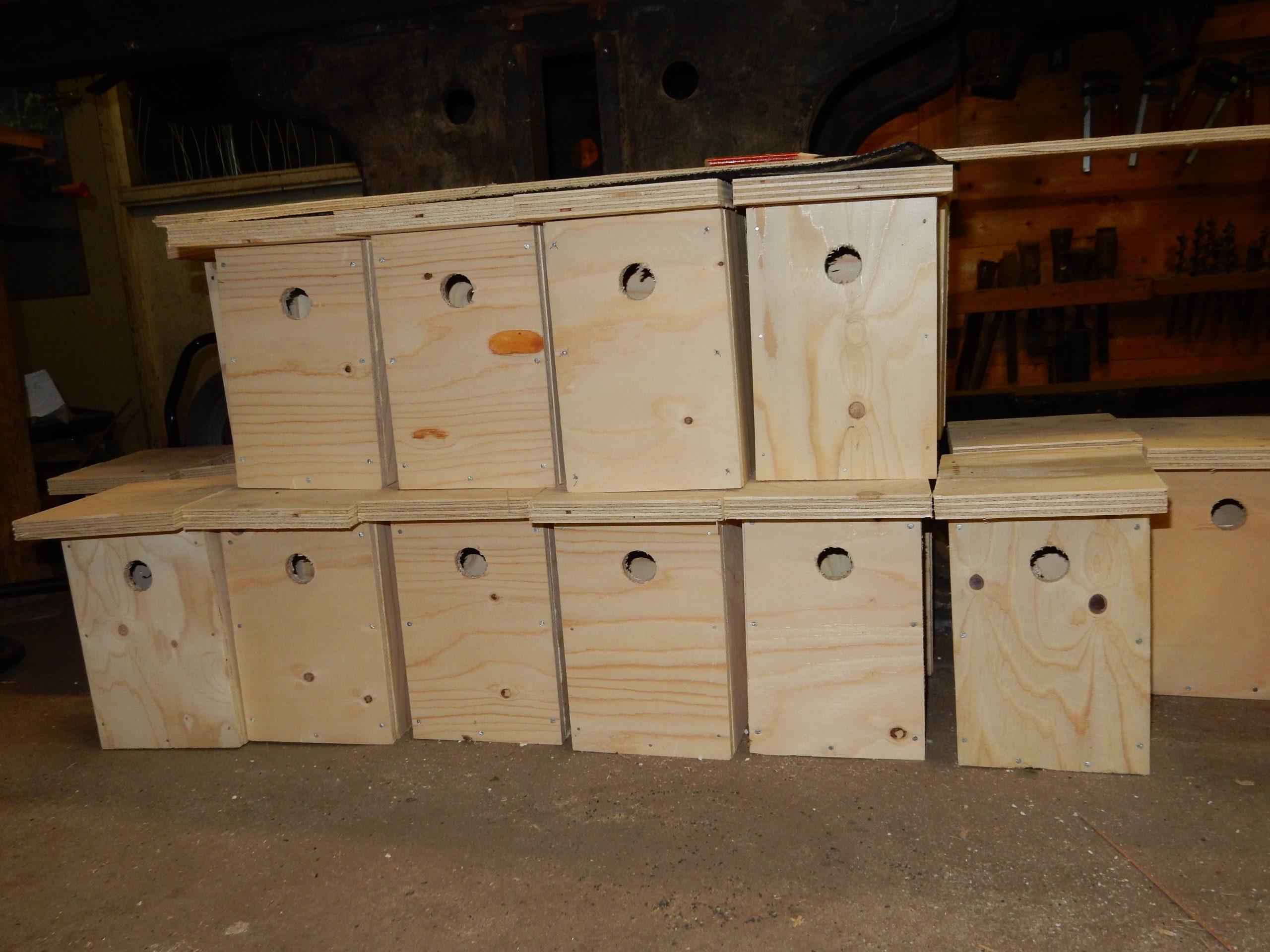 nestkasten zangvogels