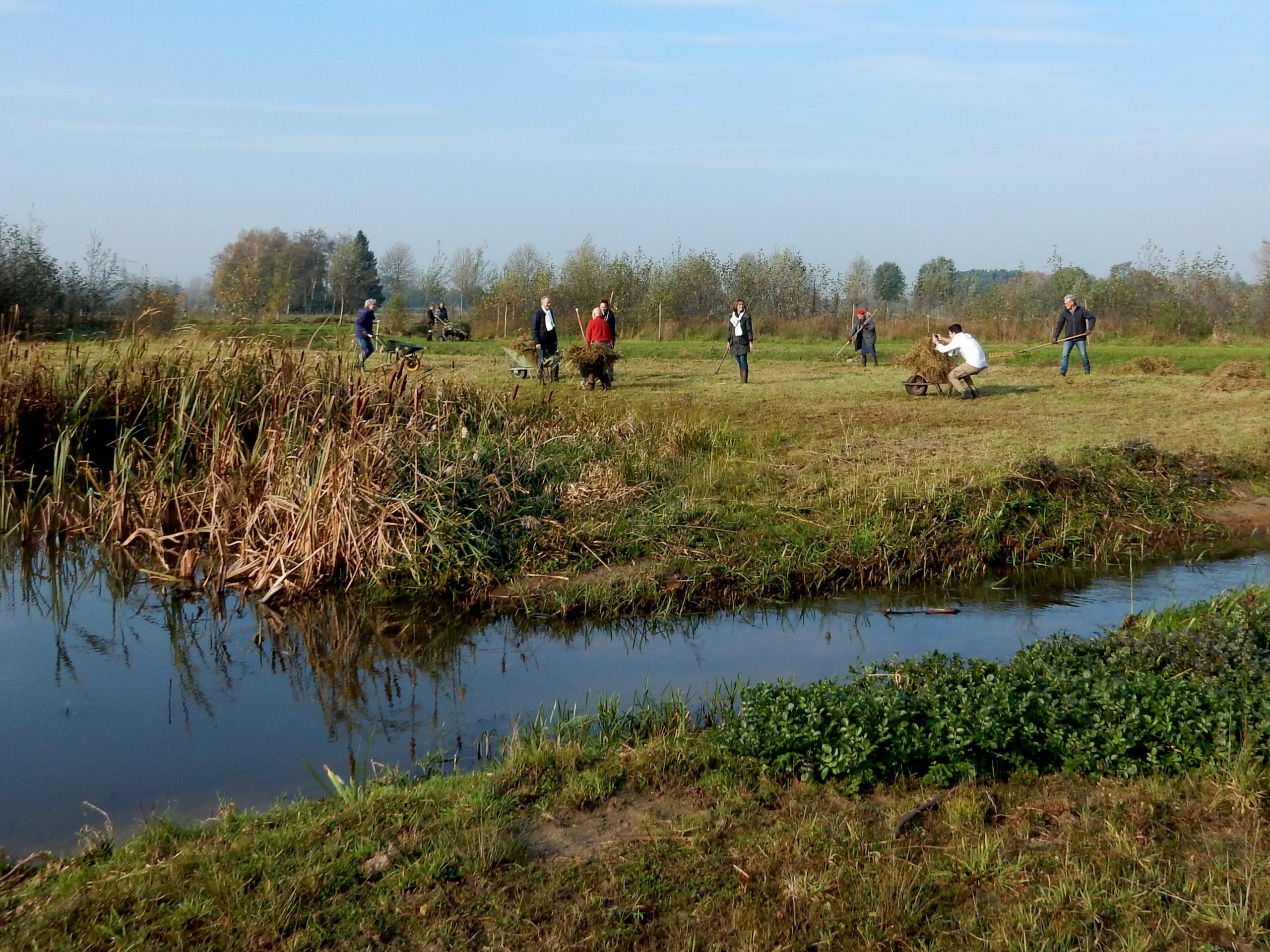 Natuurwerkdag vlindertuin