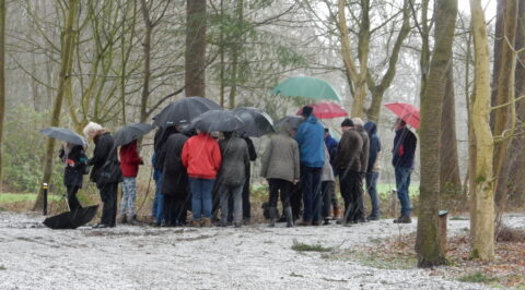 Voorjaarswandeling Weldam