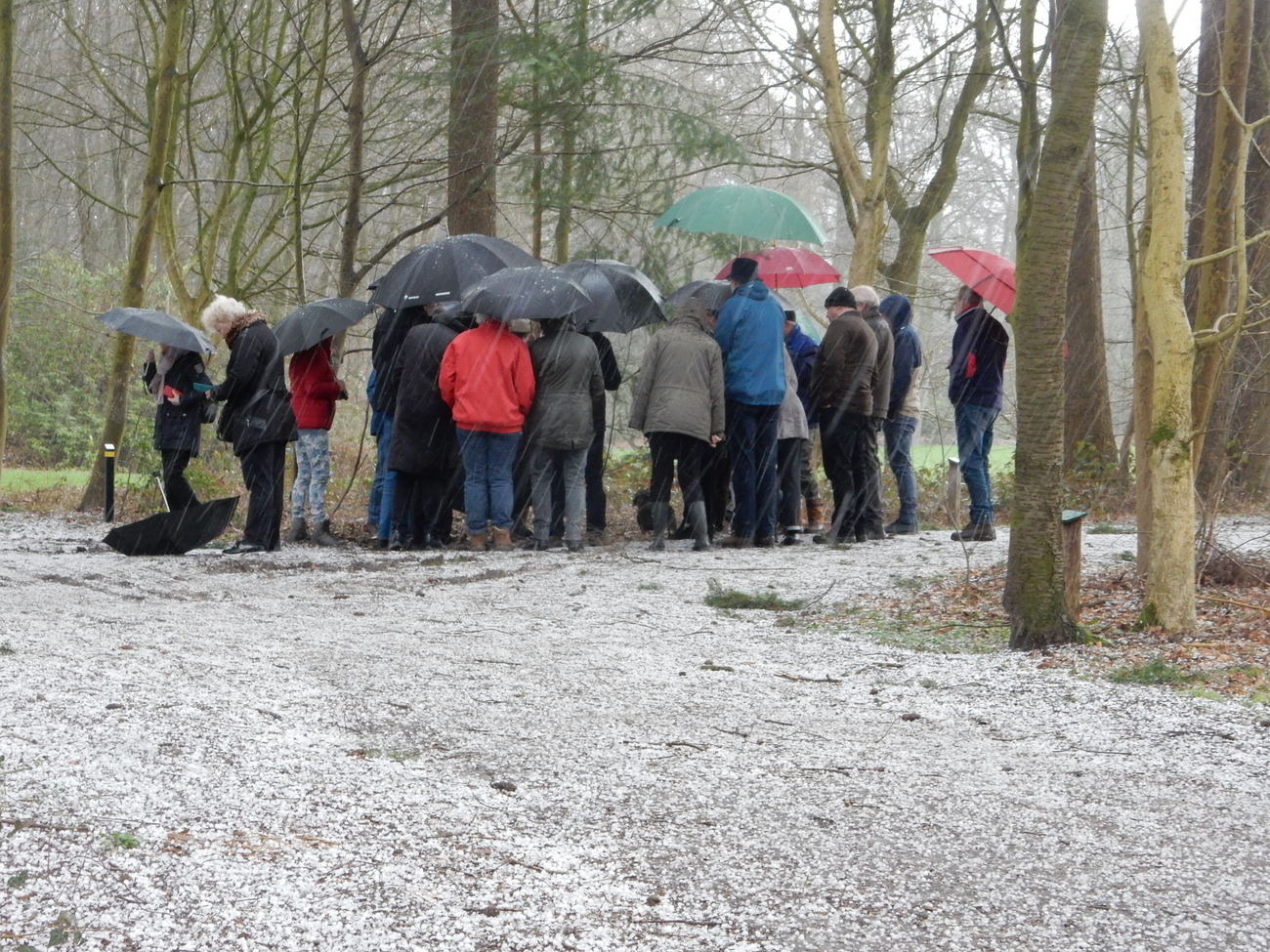 Voorjaarswandeling Weldam