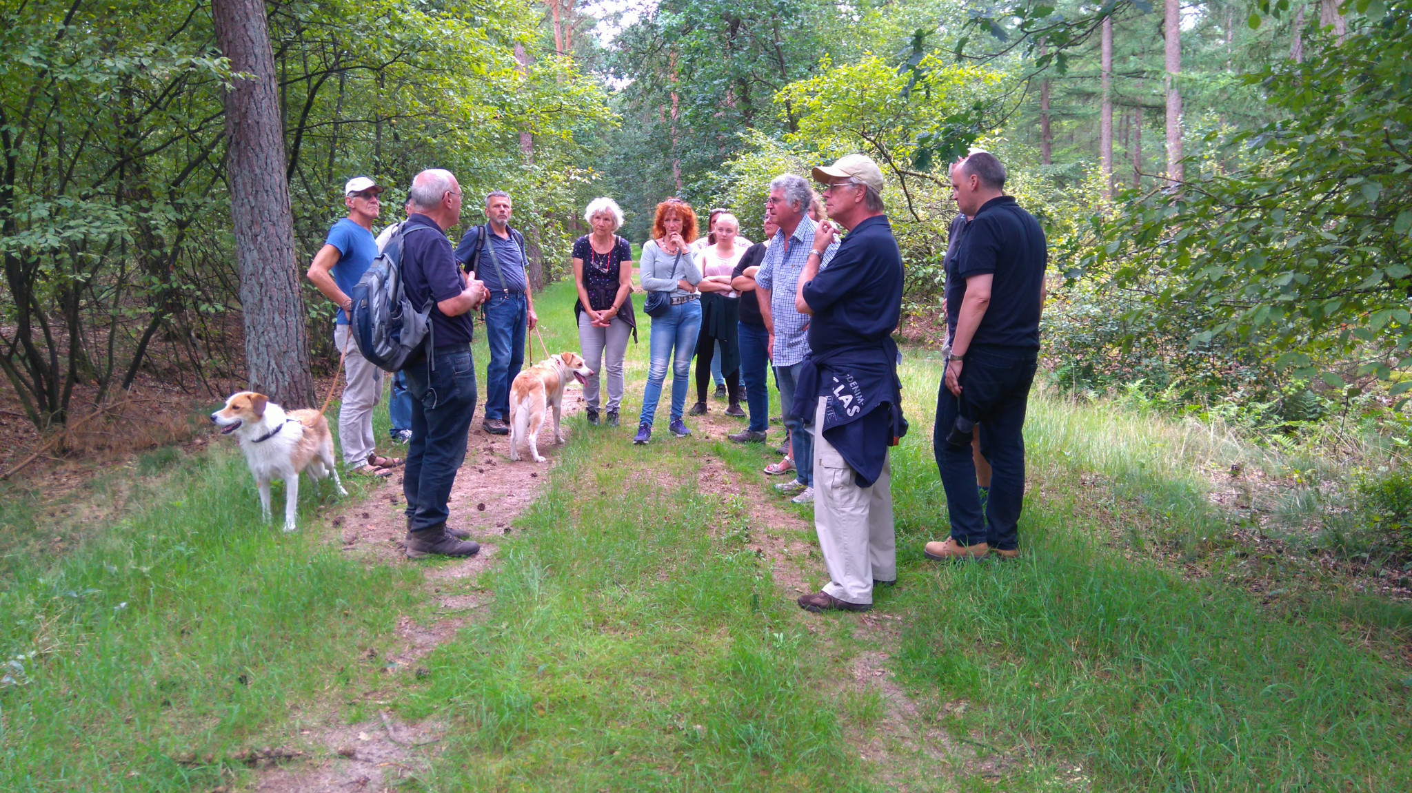 zomerwandeling