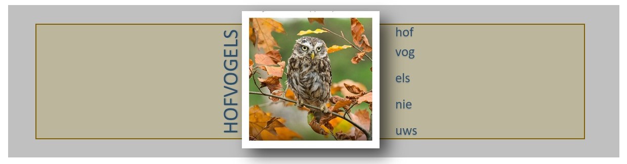 Een uil zit op een tak met herfstbladeren. Tekst: "HOFVOGELS" en "hofvogel nieuws".