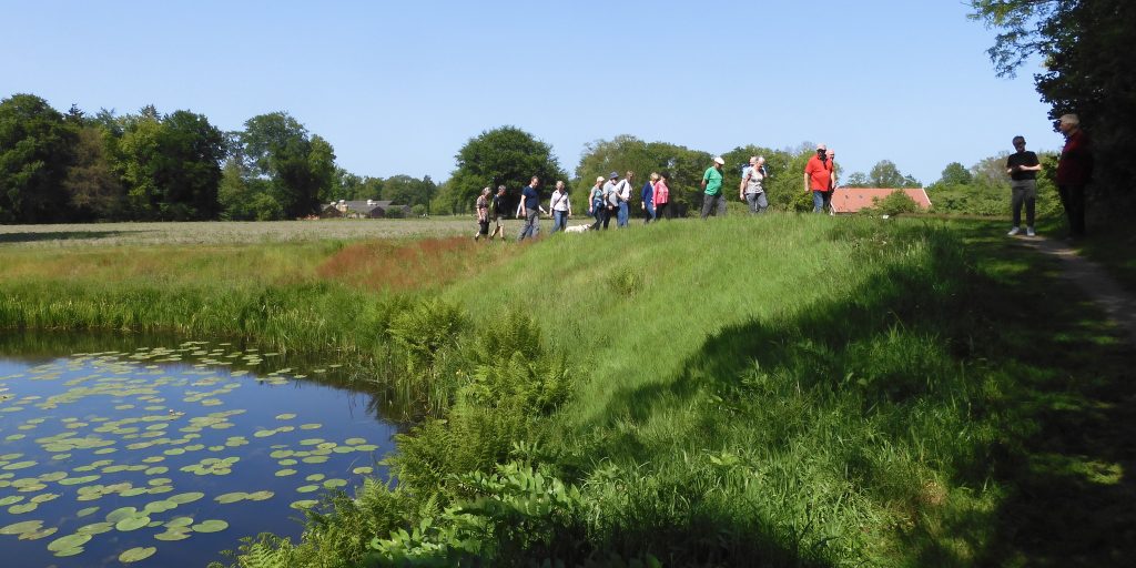 Groep mensen wandelt langs een vijver met waterlelies op een zonnige dag in een groene omgeving.