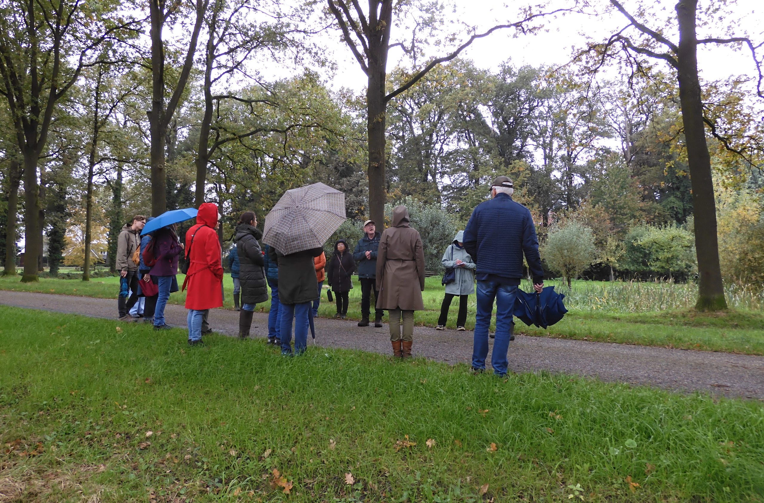 Mensen in regenjassen en met paraplu's wandelen door een bosrijk park.