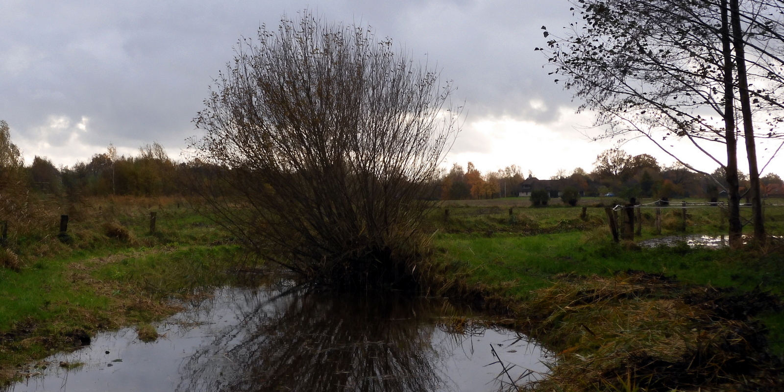 Grijs bewolkte lucht boven een platteland met gras, bomen en een smal, reflecterend waterkanaal.