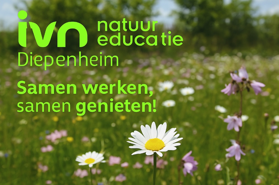 Veld met bloemen, grote margriet vooraan. Tekst: "IVN natuur educatie Diepenheim."