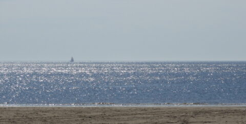Zee met fonkelend water en een zeilboot aan de horizon, strand op de voorgrond.