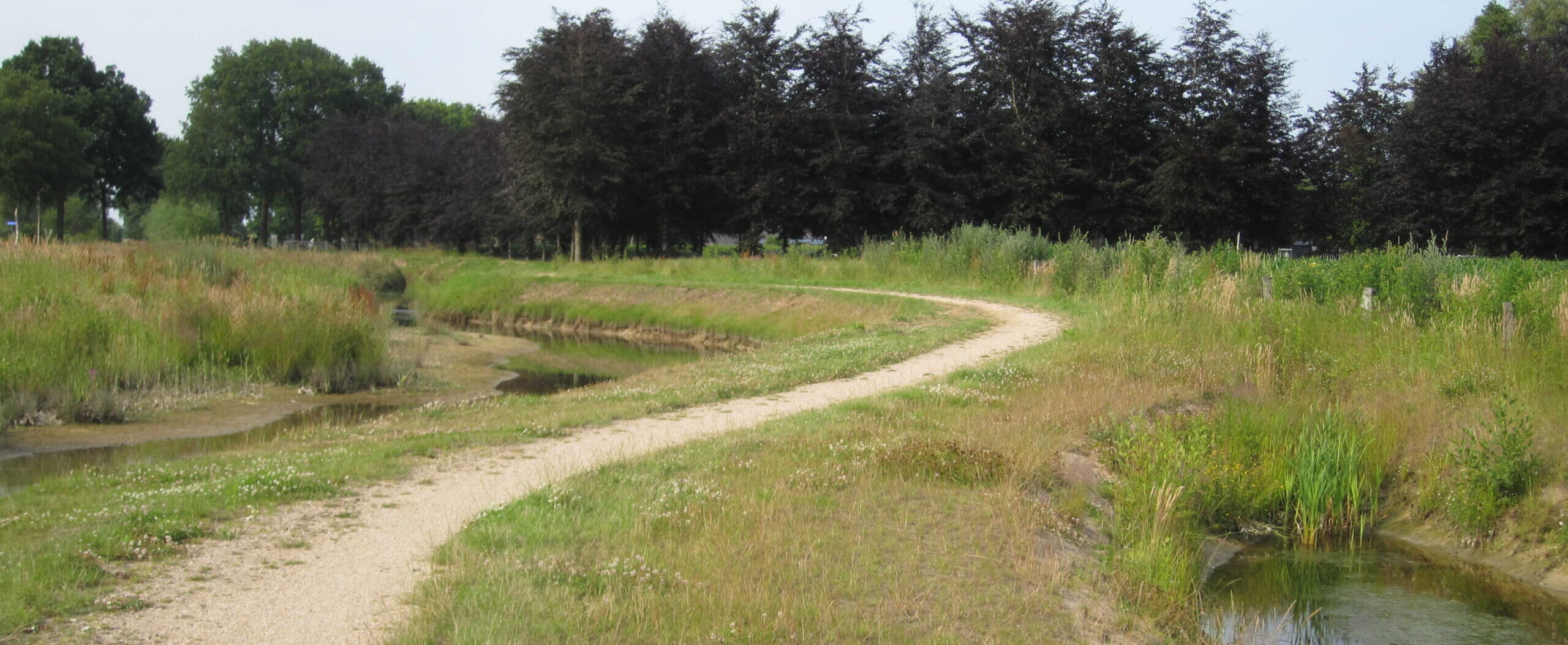 Kronkelend zandpad langs een sloot, omgeven door gras en bomen.