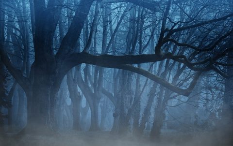 nacht