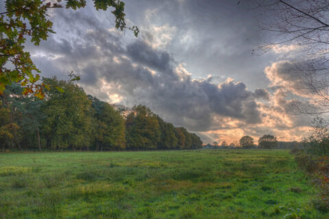 Pannenhoef, Brabant