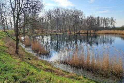 Hoevense beemden
