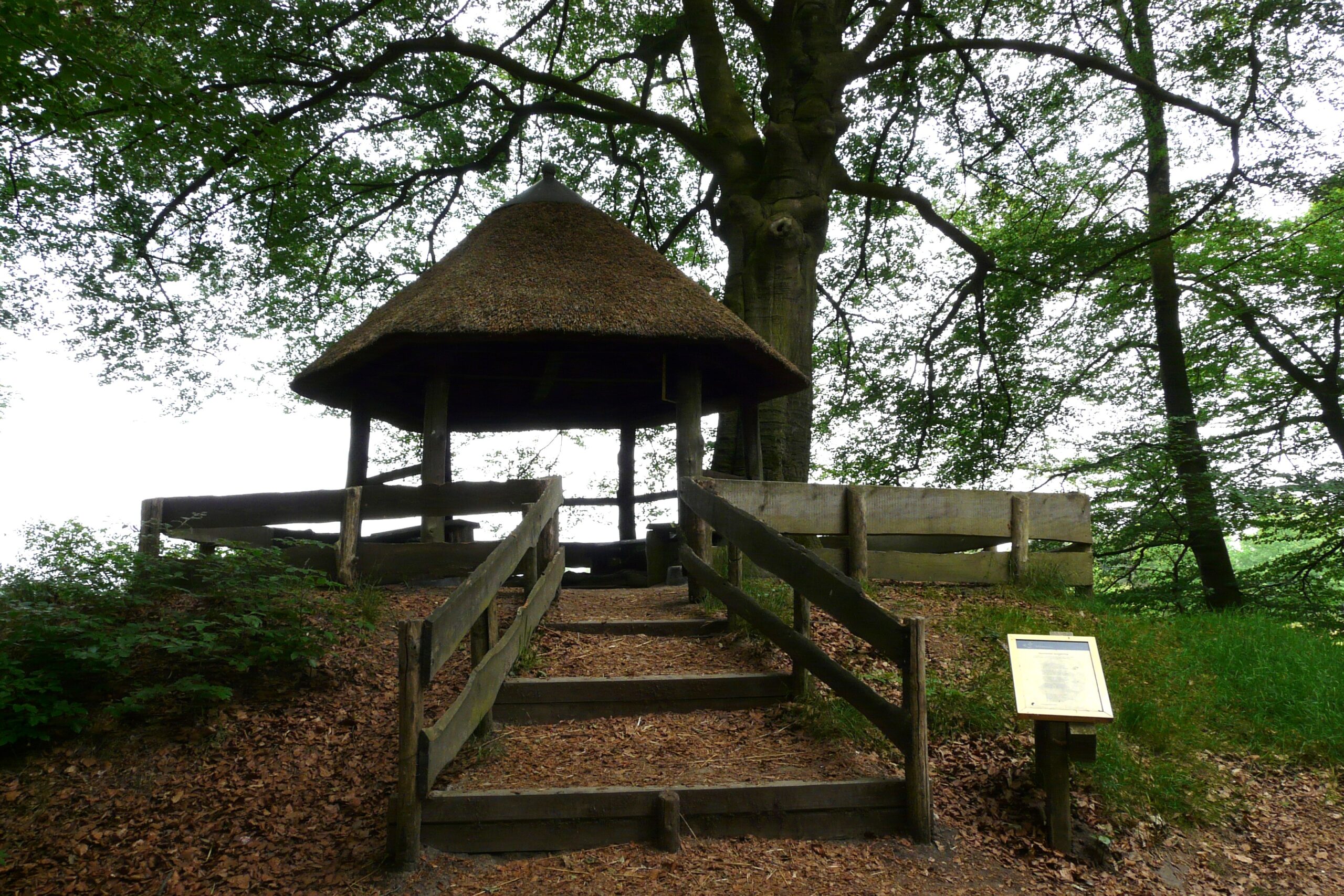 Prieel op de Oude Buisse Heide