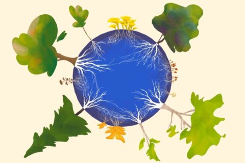 Blauwe cirkel met witte wortelstructuren, omringd door diverse bomen en paddenstoelen.