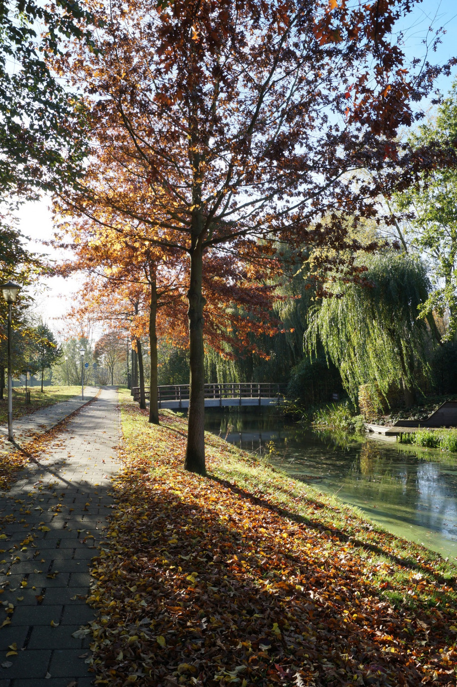 Excursies Zwijndrecht