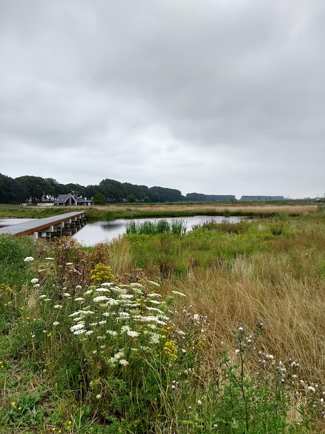 Noorderdiepzone