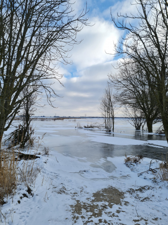 Noorderdiepzone Nw Dordtse Biesbosch