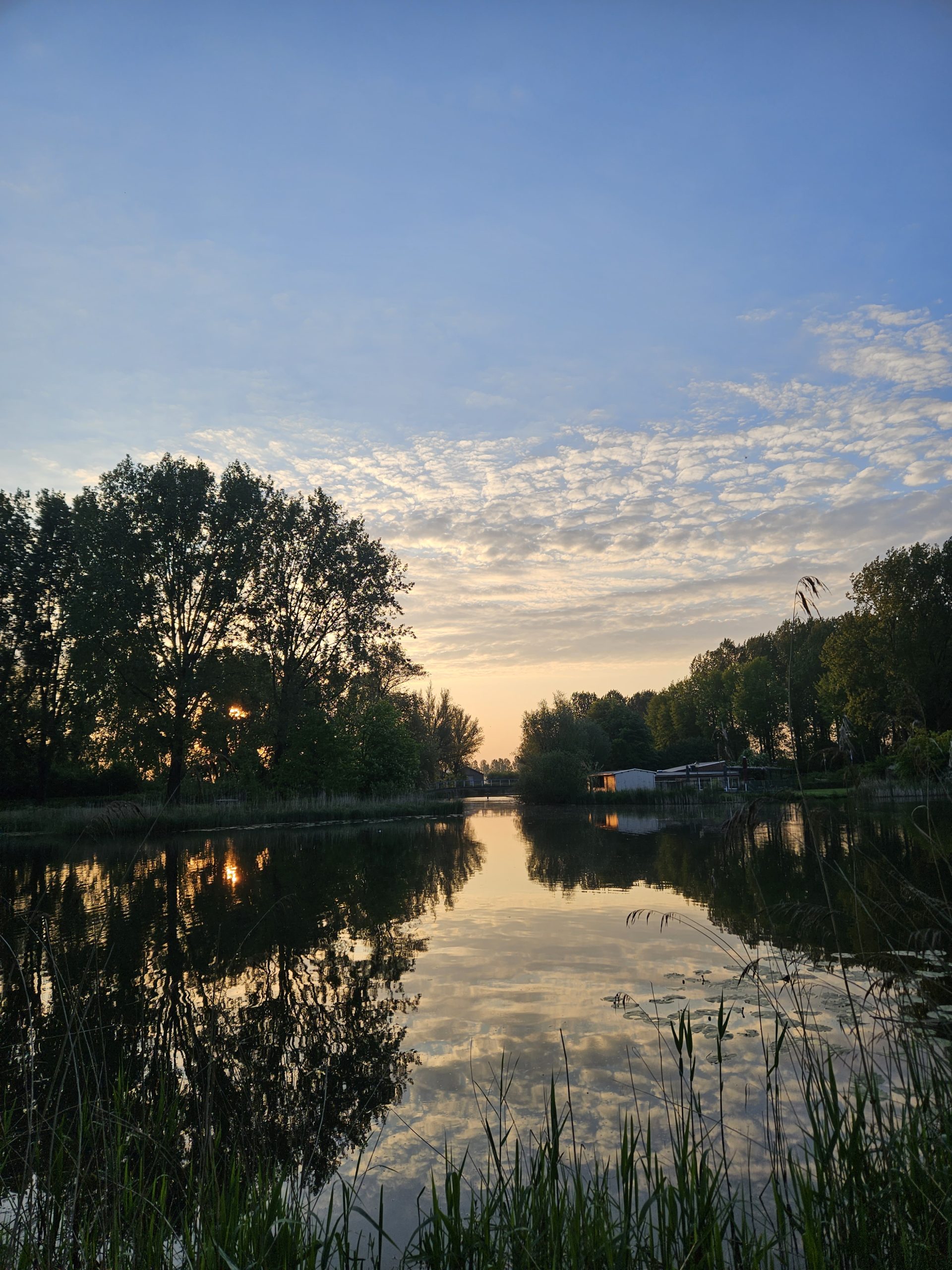 Rustig meer met bomen en weerspiegeling bij zonsondergang, onder een deels bewolkte hemel.