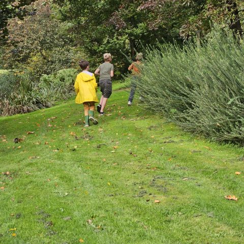 Drie kinderen rennen een grashelling op, omringd door bosjes en bomen.
