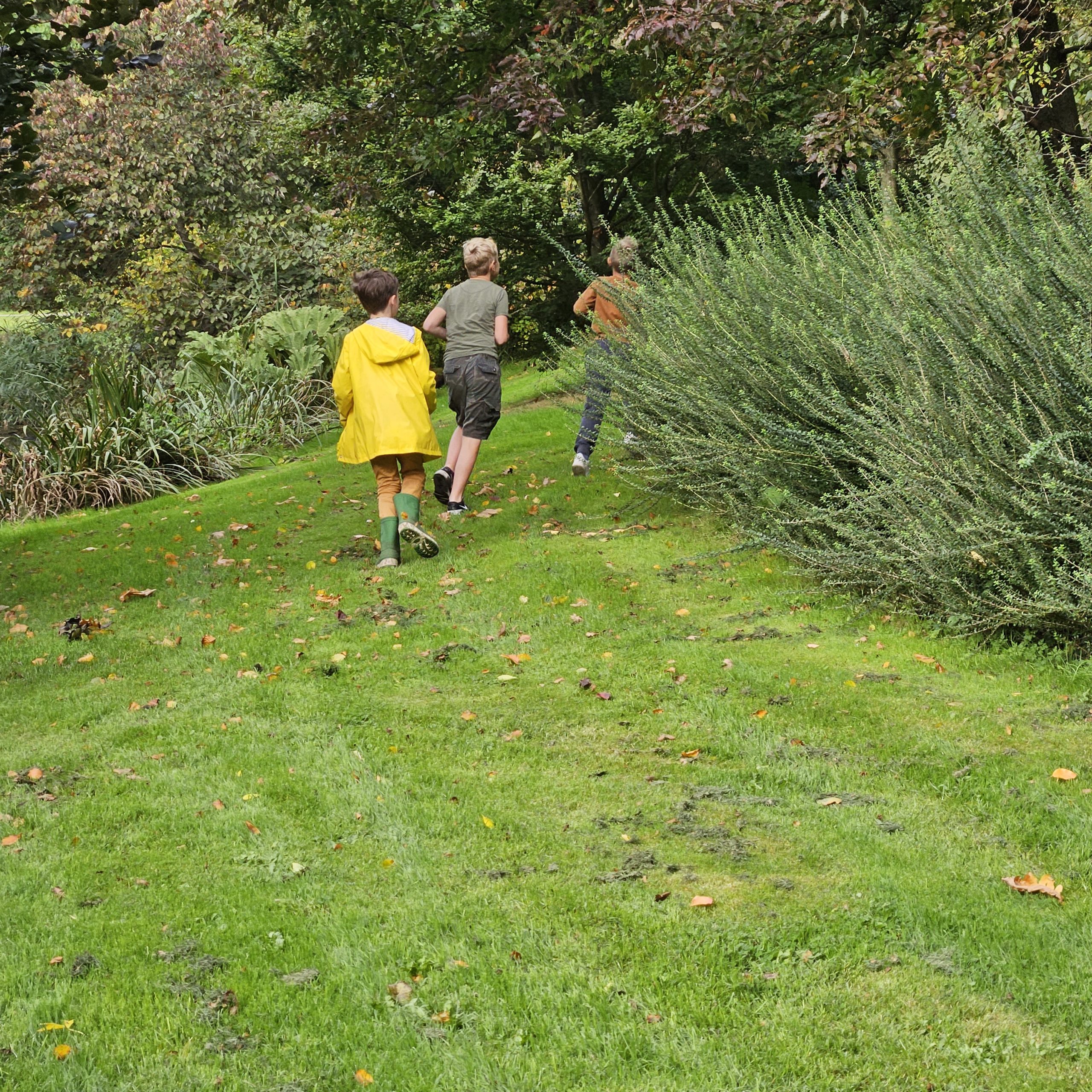 Drie kinderen rennen een grashelling op, omringd door bosjes en bomen.