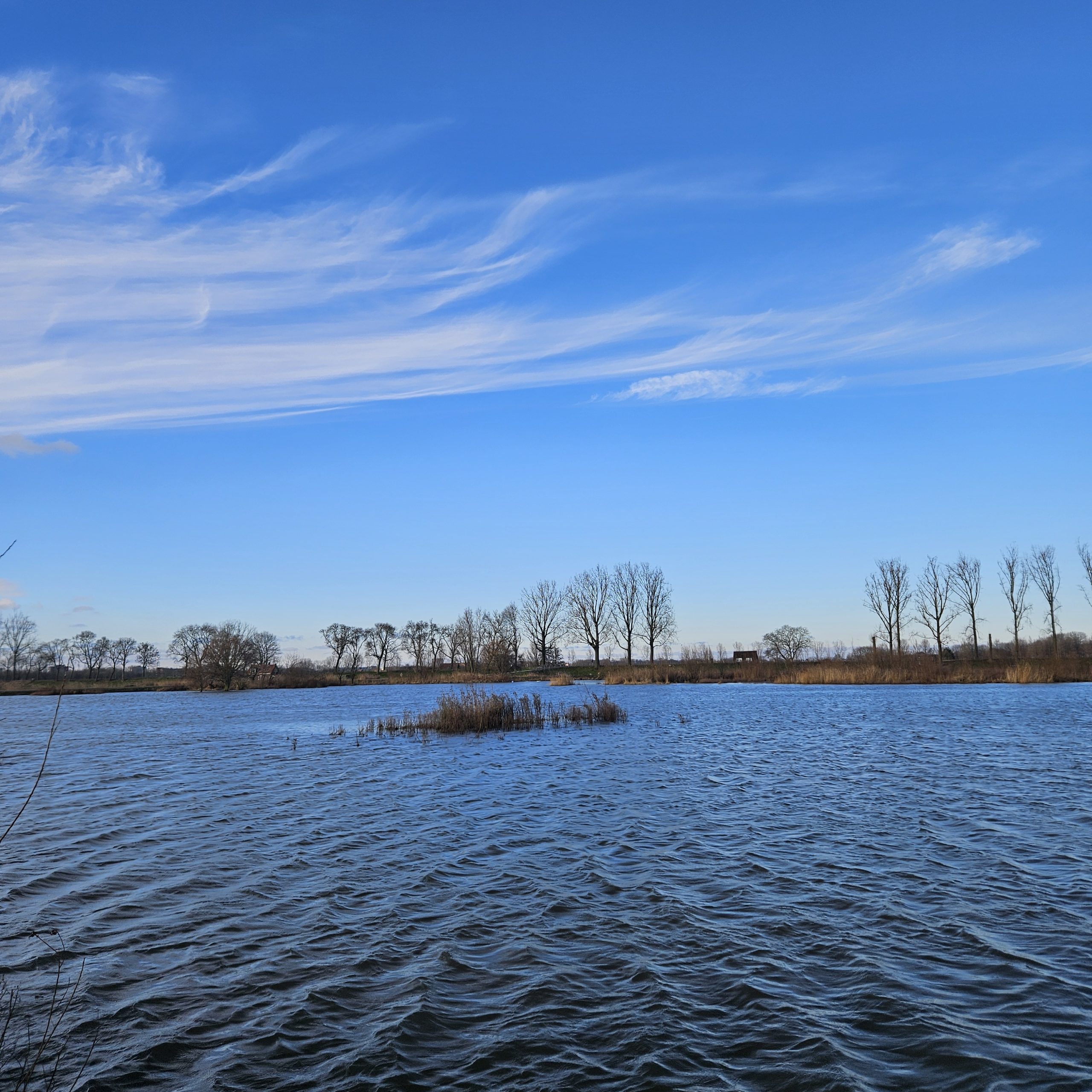 Een serene waterrijke omgeving met kale bomen en uitgestrekte blauwe lucht.