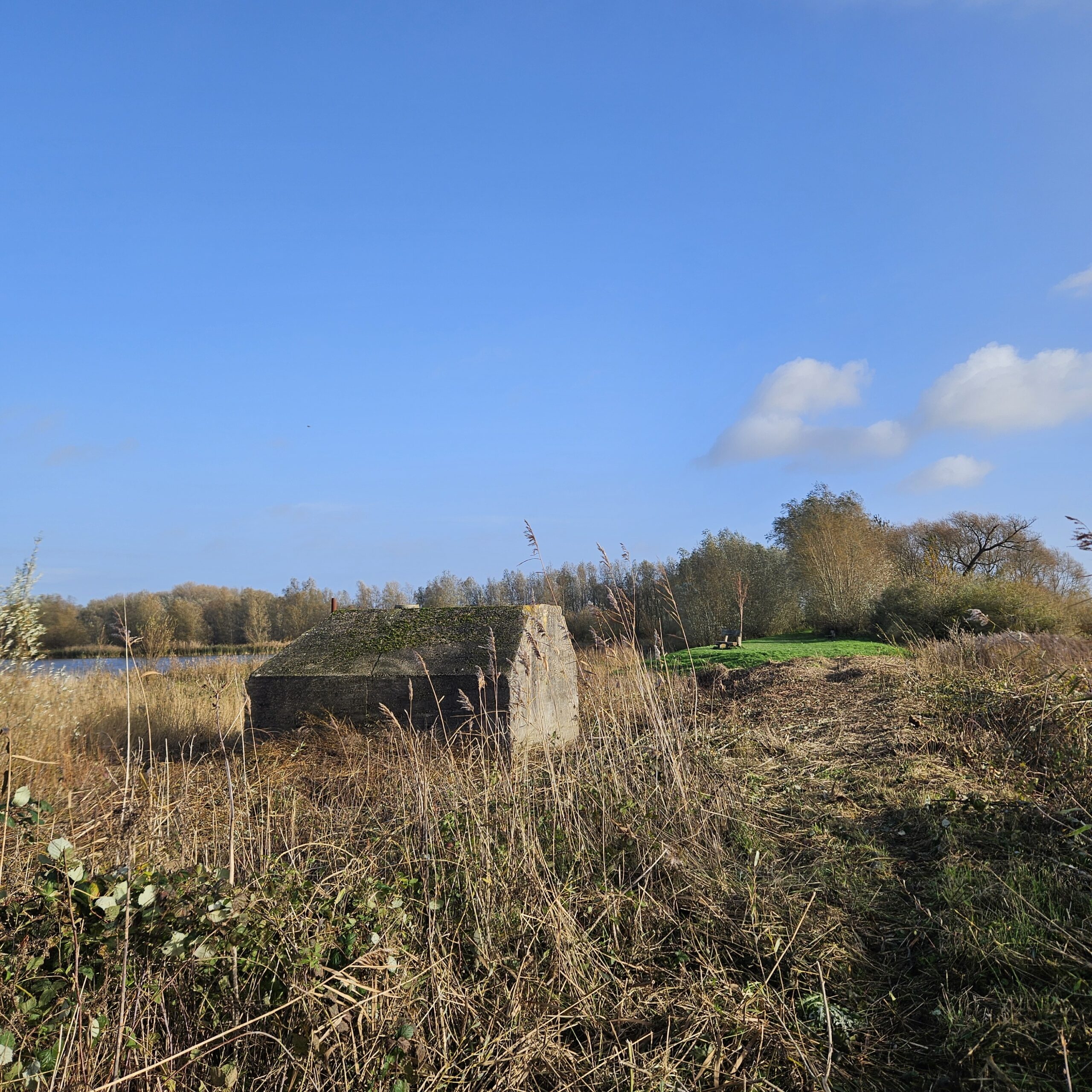 Oude bunker op een grasveld met riet en bomen, onder een heldere, blauwe hemel.