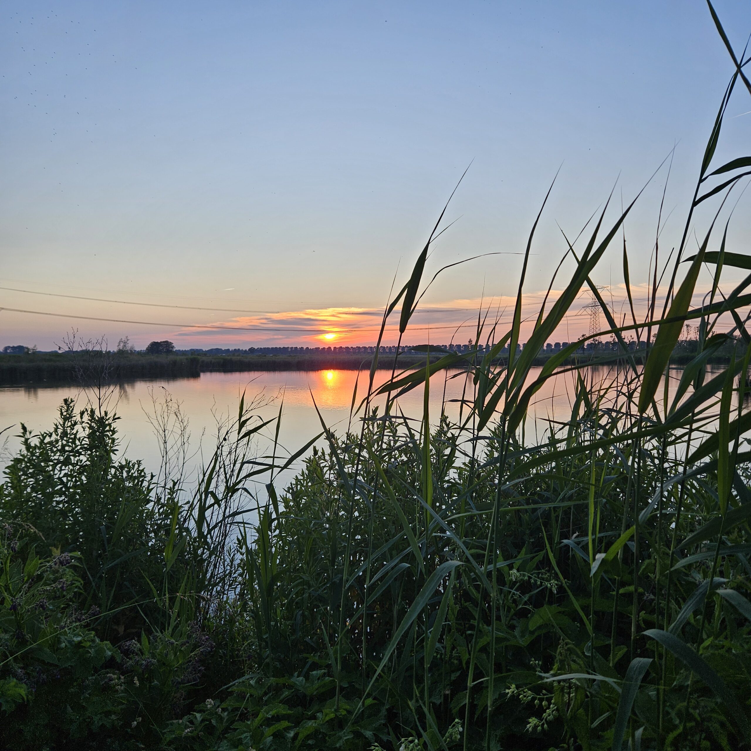 Zonsondergang boven een rustige rivier, omringd door riet en weelderig groen.