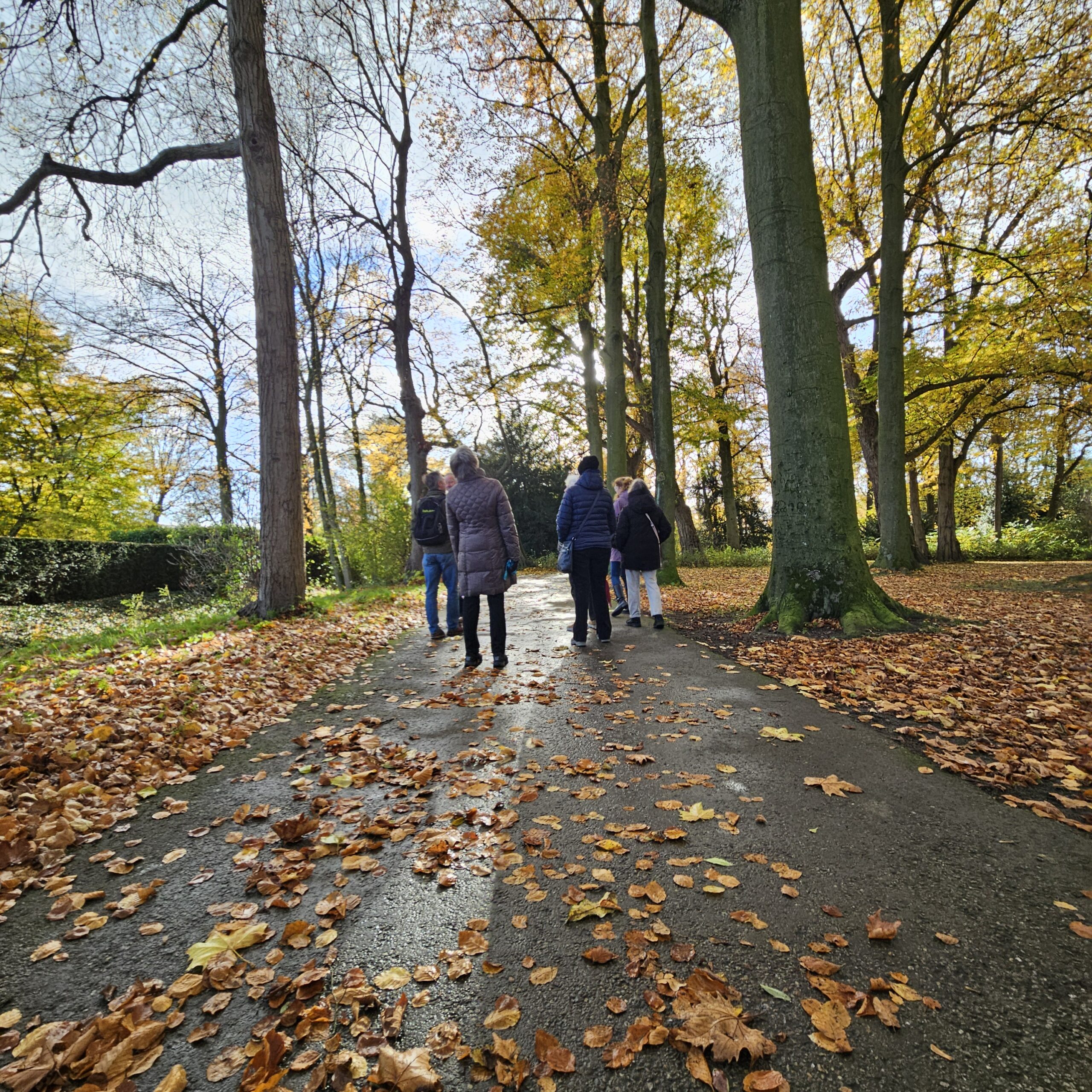 Mensen wandelen op een herfstig bospad, omgeven door bomen en vallende bladeren.