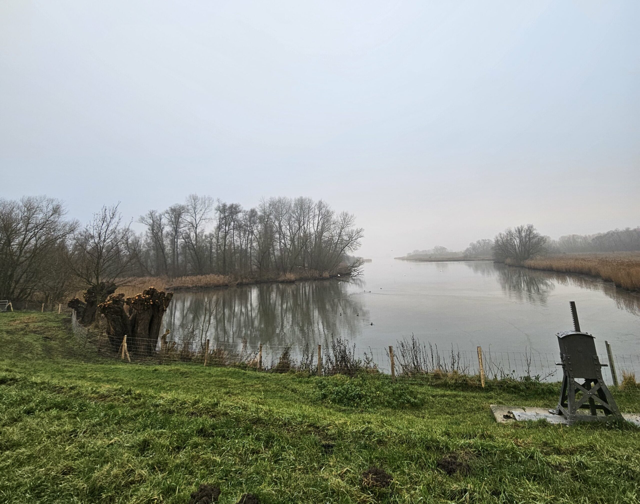 Rivierlandschap met kale bomen, groene oever en een bewolkte lucht. Rechts een mechanisch apparaat.