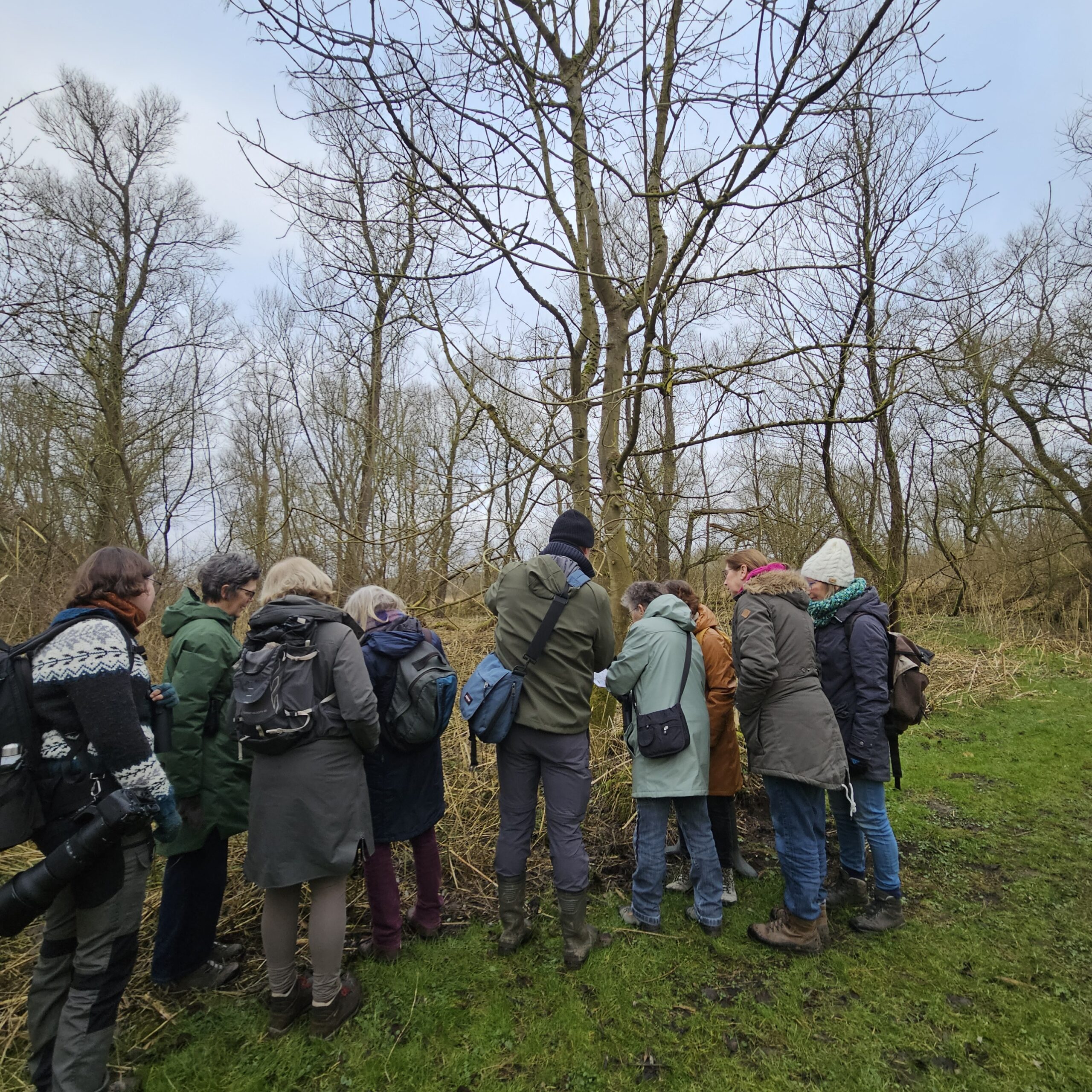 Groep mensen observeert samen natuur in een bosrijke omgeving.